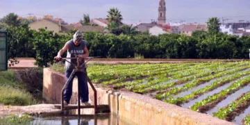 El Ajuntament de Valencia adjudica la limpieza de acequias de "francs, marjals i extremals"