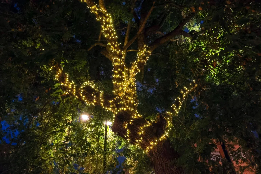 El Ajuntament de Valéncia refuerza la iluminación navideña en las tres pedanías afectadas por la Dana 20 1Mao 4282