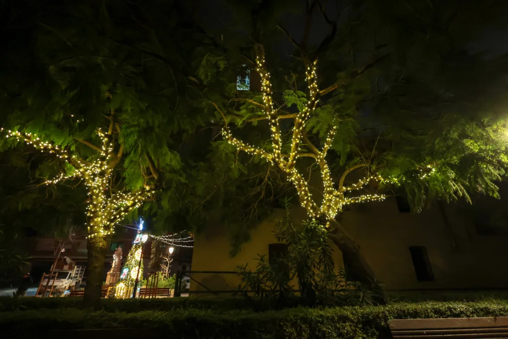 El Ajuntament de Valéncia refuerza la iluminación navideña en las tres pedanías afectadas por la Dana 5 1Mao 4442