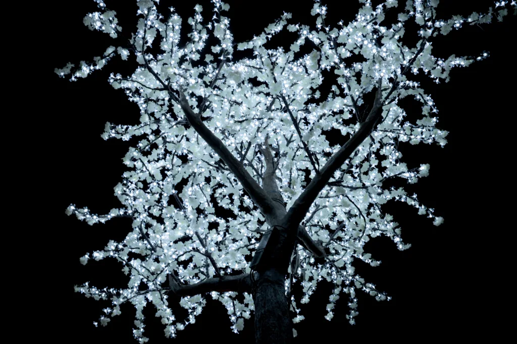 El Ajuntament de Valéncia refuerza la iluminación navideña en las tres pedanías afectadas por la Dana 2 1Mao 4475