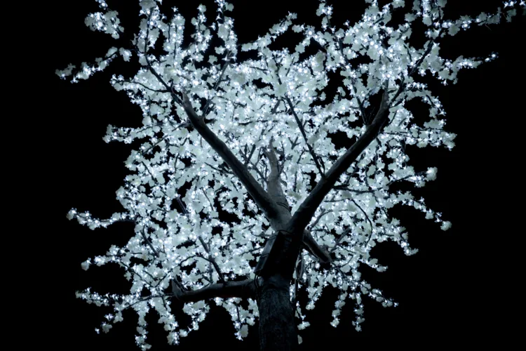 El Ajuntament de Valéncia refuerza la iluminación navideña en las tres pedanías afectadas por la Dana