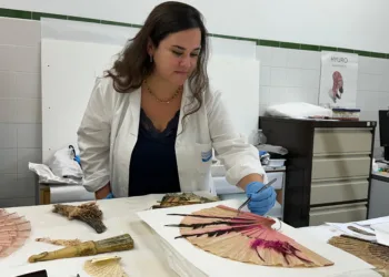 La Diputació de Valéncia trabaja en la restauración de más de 200 piezas rescatadas de museos afectados por la #DANA