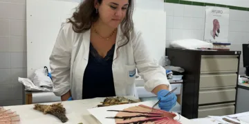 La Diputació de Valéncia trabaja en la restauración de más de 200 piezas rescatadas de museos afectados por la #DANA