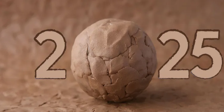 La nochevieja de dos familias y sus mascotas desplazadas de sus hogares por la DANA 1 La nochevieja de dos familias y sus mascotas desplazadas de sus hogares por la DANA