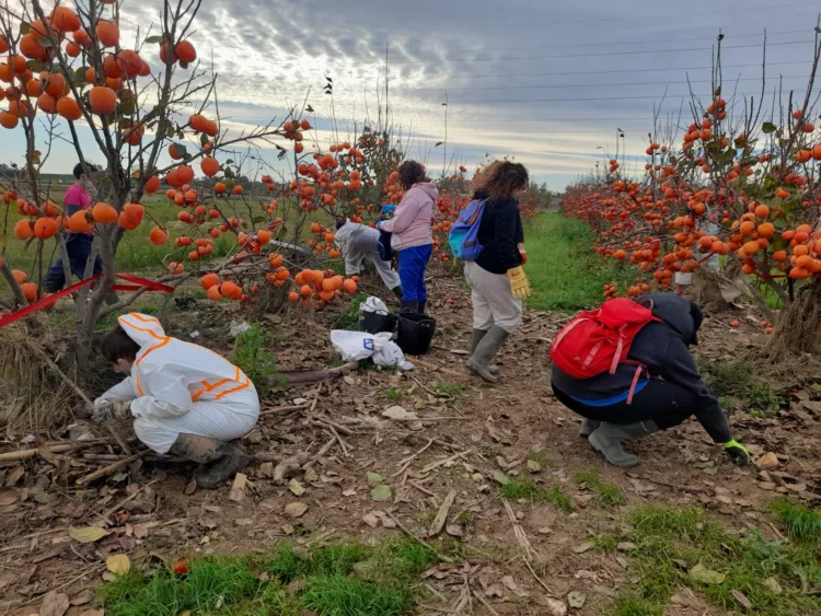 Residuos y abandono: la lucha por salvar l’Albufera tras la DANA