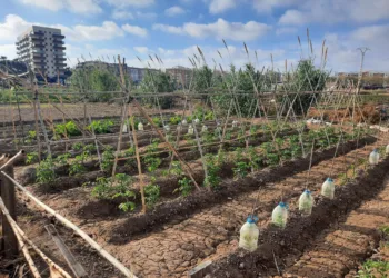 La Huerta salva vidas en Alfafar