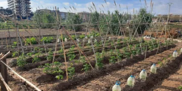 La Huerta salva vidas en Alfafar