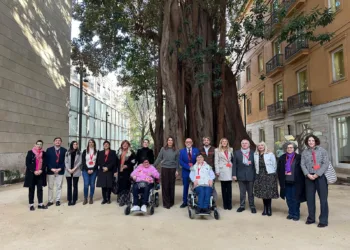CERMI CV aplaude la aprobación unánime de la Ley de Accesibilidad Universal en la Comunitat