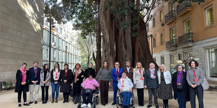 CERMI CV aplaude la aprobación unánime de la Ley de Accesibilidad Universal en la Comunitat