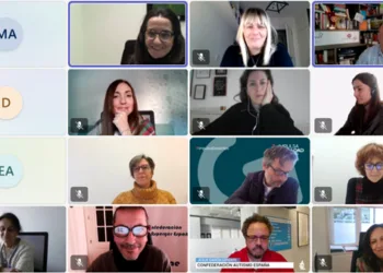 El CERMI solicita a las administraciones públicas, un modelo renovado de sostenibilidad