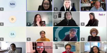 El CERMI solicita a las administraciones públicas, un modelo renovado de sostenibilidad