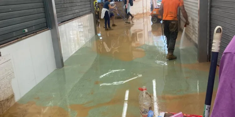 El Mercado Central impulsa una campaña solidaria para apoyar a las localidades afectadas por la DANA 1 El Mercado Central impulsa una campaña solidaria para apoyar a las localidades afectadas por la DANA