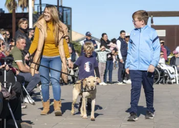 Varios perros rescatados de la DANA tendrán una nueva vida gracias a AUPA y Fundación BIOPARC