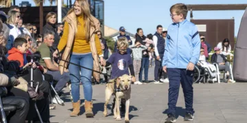 Varios perros rescatados de la DANA tendrán una nueva vida gracias a AUPA y Fundación BIOPARC