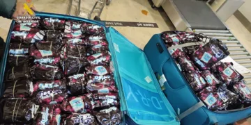 Interceptan 20 kilos de tabaco de mascar en el aeropuerto de Valencia