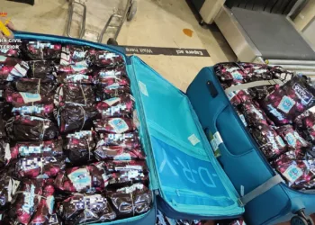 Incautación de tabaco en Valencia: más de 20 kilos interceptados en el aeropuerto