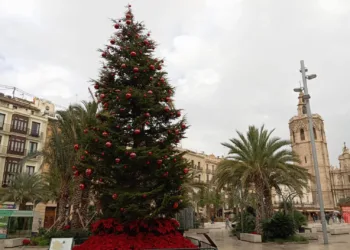 El abeto de los barrios vuelve a la Plaza de la Reina de Valencia