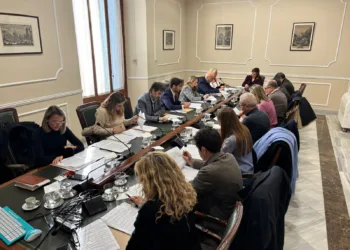 Valencia dará 300€ a las familias que tengan /adopten o acojan un menor en 2025