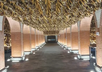 Dónde encontrar el mejor jamón del mundo: Cinco Jotas, el rey de Jabugo