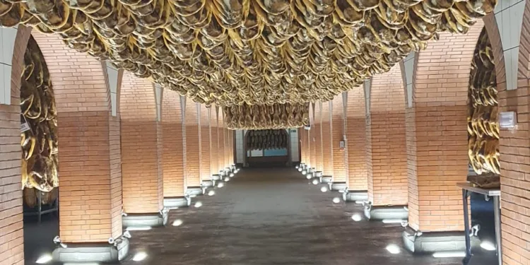 Dónde encontrar el mejor jamón del mundo: Cinco Jotas, el rey de Jabugo