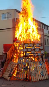 Celebración un año más del "Pi de Nadal" 2024 3 Pi Nadal 2