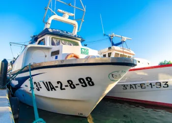 Europa a la pesca: ¡Atrapados en una red de absurdos!