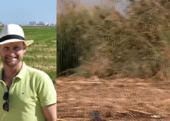 Juan Valero, fundador de Arroz Tartana: “La Albufera está en un estado crítico tras la DANA”