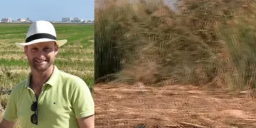 Juan Valero, fundador de Arroz Tartana: “La Albufera está en un estado crítico tras la DANA”