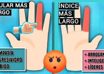 Un estudio asegura que el tamaño de tus dedos podría revelar si eres propenso a las juergas alcohólicas