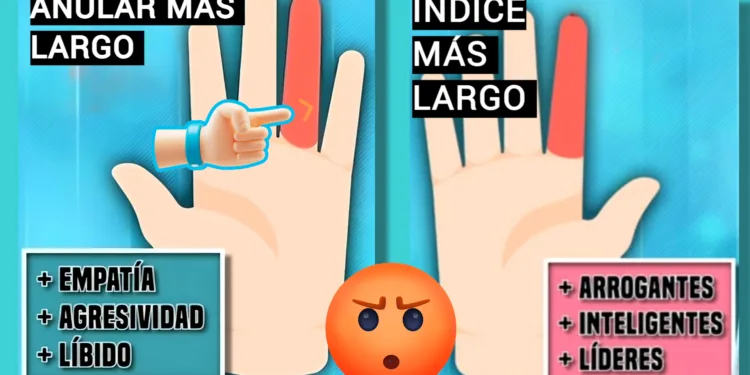 Un estudio asegura que el tamaño de tus dedos podría revelar si eres propenso a las juergas alcohólicas 1 Un estudio asegura que el tamaño de tus dedos podría revelar si eres propenso a las juergas alcohólicas