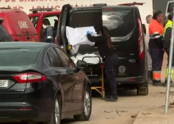 Aparece la víctima 223 de la #DANA en un solar improvisado como vertedero en Paiporta 3 Aparece la víctima 223 de la #DANA en un solar improvisado como vertedero en Paiporta