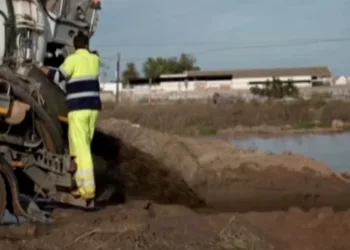 Gestión de residuos tras la DANA: ¿una solución temporal o un problema ambiental en la Albufera y Picassent?