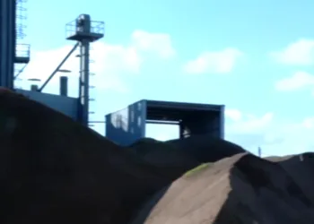 Crisis en Massanassa: un millón de kilos de arroz podrido y un futuro incierto para la Albufera