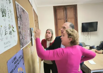 Benetússer pide un plan de inspección de los edificios afectados por la Dana