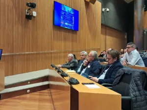 Lo Rat Penat llamenta l'abandó dels valencians per part del molts diputats del Congrés 2 WhatsApp Image 2024 12 03 at 17.44.511