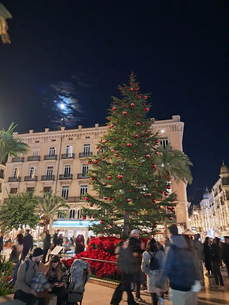 WhatsApp Image 2024 12 15 at 13.12.34