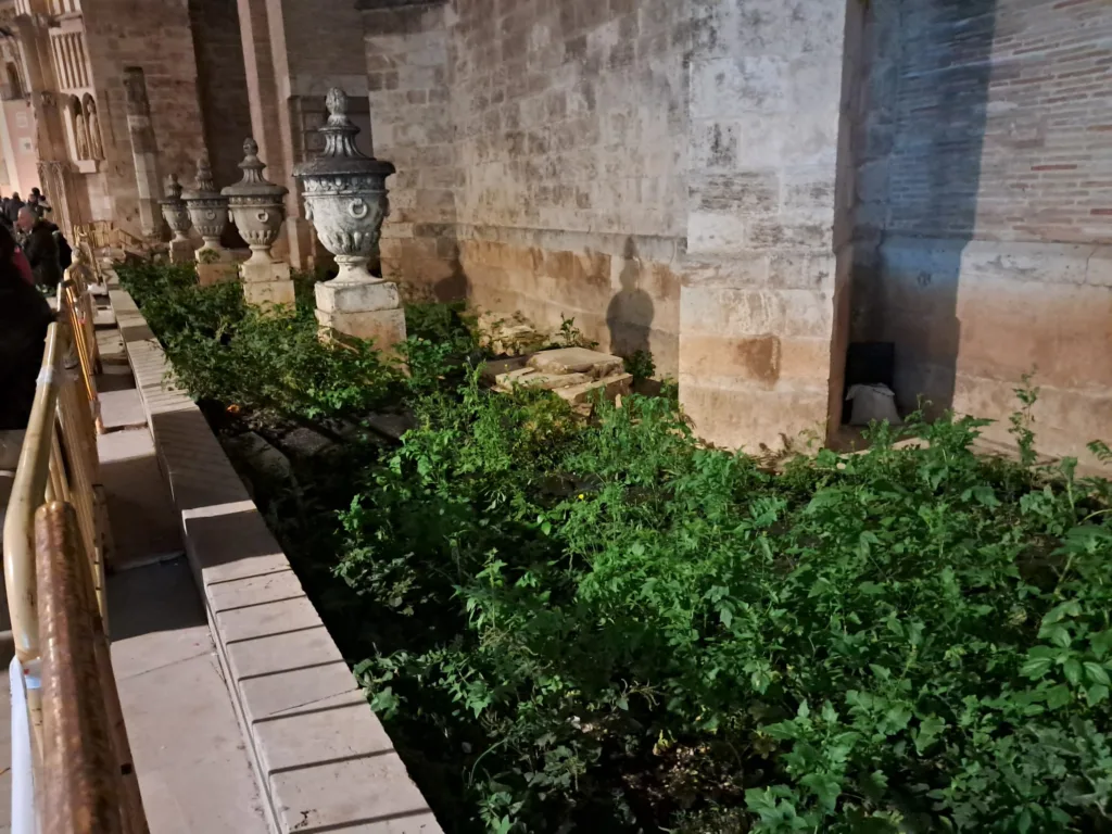 La Calle Micalet cumple 9 meses con el jardín en obras y vallado 2 WhatsApp Image 2024 12 17 at 11.28.54