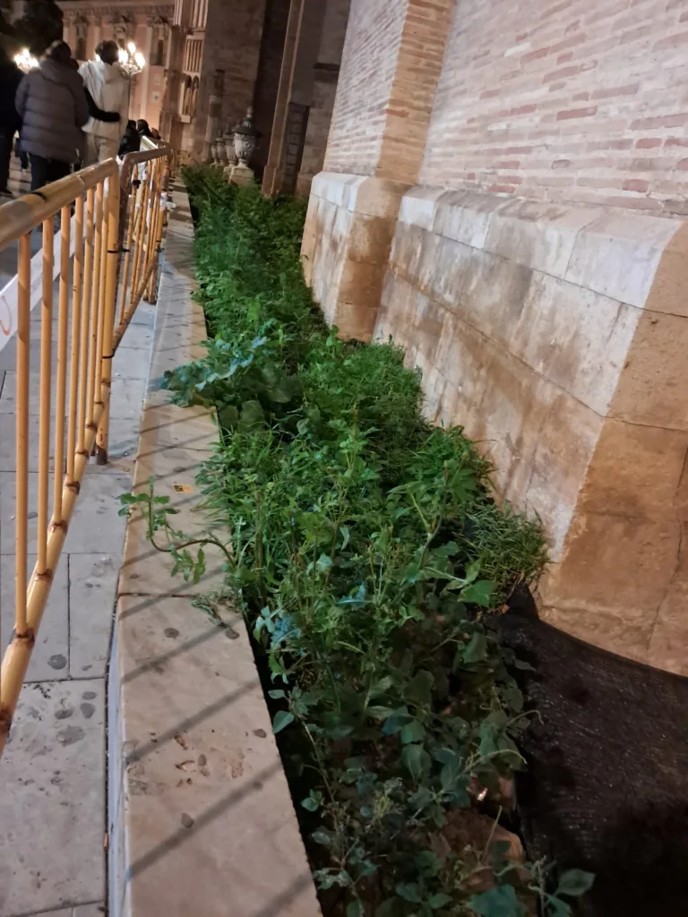 La Calle Micalet cumple 9 meses con el jardín en obras y vallado 4 WhatsApp Image 2024 12 17 at 11.28.541