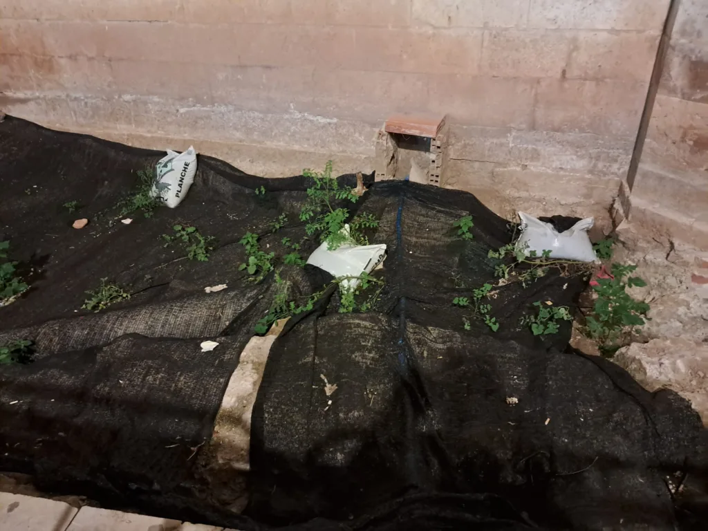 La Calle Micalet cumple 9 meses con el jardín en obras y vallado 3 WhatsApp Image 2024 12 17 at 11.28.542