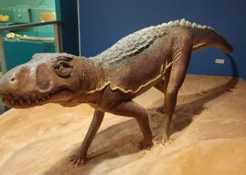 El Museo de Ciencias naturales presenta la recreación de un Chirotherium