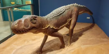 El Museo de Ciencias naturales presenta la recreación de un Chirotherium