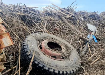 Comienzan los trabajos de limpieza y recuperación de la Albufera de Valencia por parte del Ajuntament de Valencia tras los daños de la riada 1 Comienzan los trabajos de limpieza y recuperación de la Albufera de Valencia por parte del Ajuntament de Valencia tras los daños de la riada
