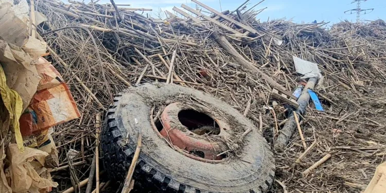 Familias de desaparecidos por la DANA inician trámites para declarar su fallecimiento con apoyo del Gobierno 1 Comienzan los trabajos de limpieza y recuperación de la Albufera de Valencia por parte del Ajuntament de Valencia tras los daños de la riada