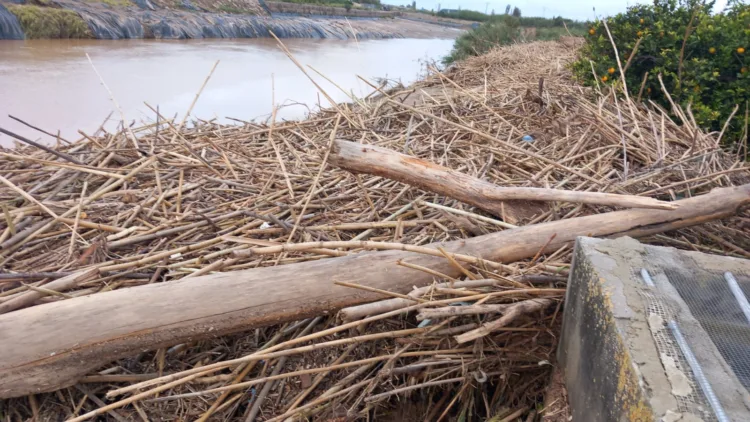 Los agricultores, los grandes olvidados tras la #DANA. Los pocos que han podido salvar cosecha ahora no la pueden recoger