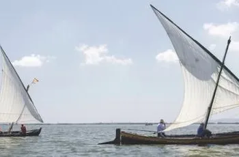Valencia remite al Gobierno la candidatura para declarar l’Albufera Reserva de la Biosfera de la Unesco