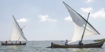 Valencia remite al Gobierno la candidatura para declarar l’Albufera Reserva de la Biosfera de la Unesco