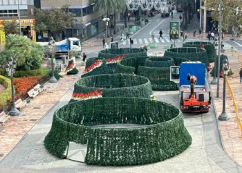 Valencia enciende la Navidad con la “estrella de la solidaridad”