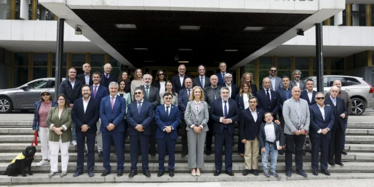 Miguel Carballeda nombrado miembro vitalicio del Comité Paralímpico Español 1 Miguel Carballeda nombrado miembro vitalicio del Comité Paralímpico Español