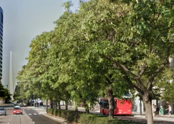 La Federación vecinal de Valencia rechaza la tala de más de 400 árboles para la ampliación del metro sin contemplar alternativa 6 La Federación vecinal de Valencia rechaza la tala de más de 400 árboles para la ampliación del metro sin contemplar alternativa