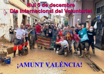 Dia Internacional del Voluntariat 4 Dia Internacional del Voluntariat
